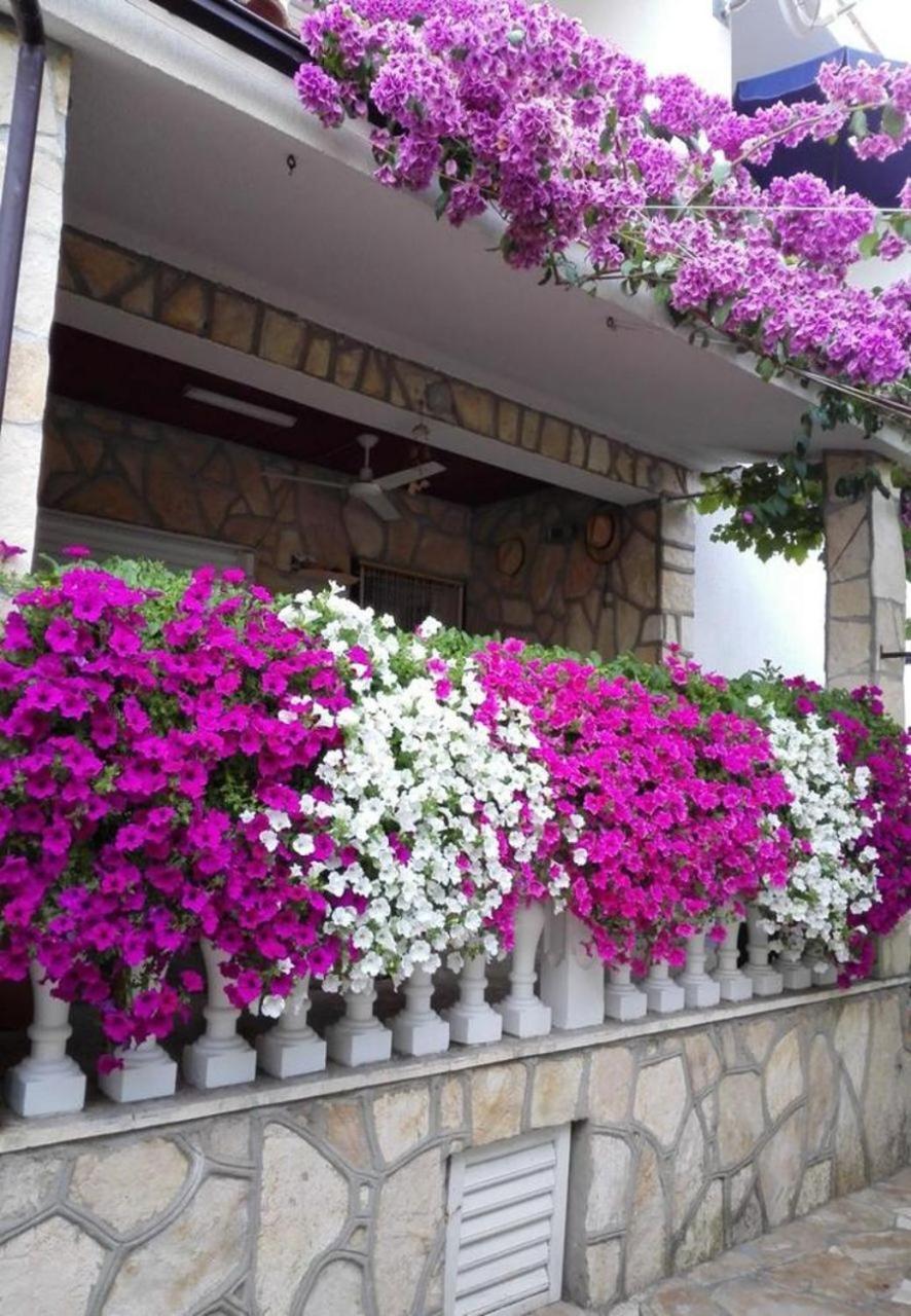 Apartments Dobri - 500M From Beach Nin Buitenkant foto